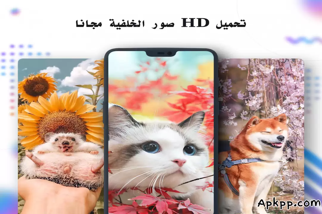 تحميل Nox Lucky Wallpaper APK