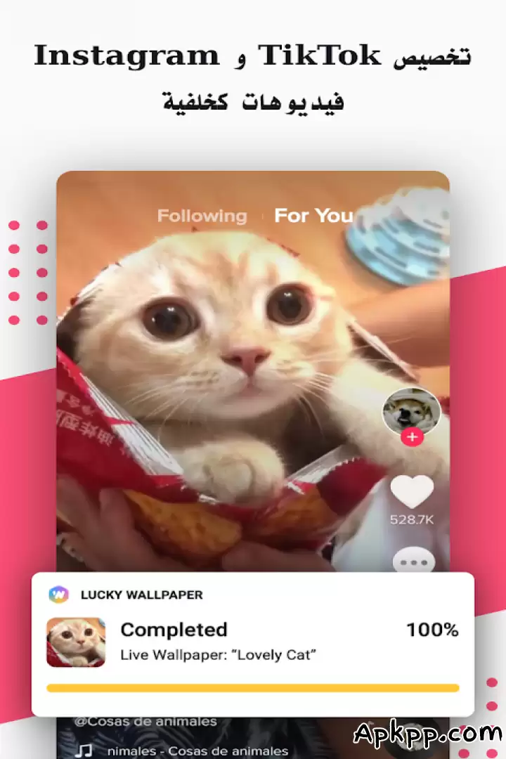 تحميل Nox Lucky Wallpaper APK