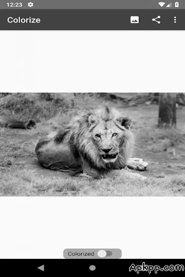 تحميل Colorize Images APK