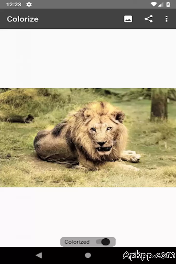 تحميل Colorize Images APK