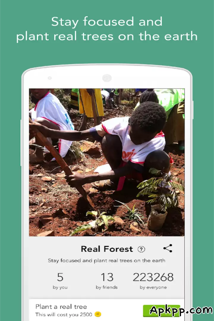 تحميل Forest Stay Focused APK