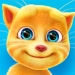 Talking Ginger APK