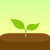 Forest Stay Focused APK